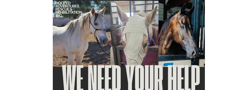 Hoofed Adventures Rescue and Rehabilitation inc