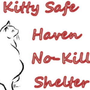 Kitty Safe Haven No-Kill Shelter, Inc.
