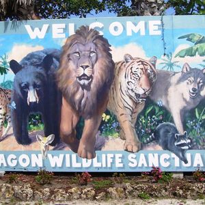 Octagon Wildlife Sanctuary Logo