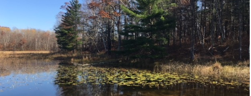 FRIENDS OF HUNT HILL AUDUBON SANCTUARY INC