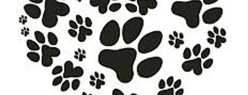 Red Collar Rescue Incorporated