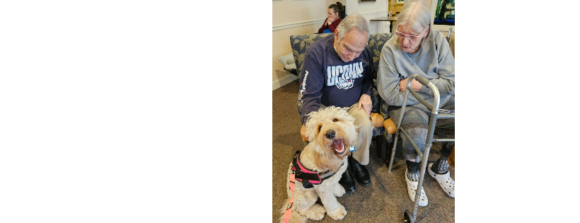 New England Human Animal Bond Foundation