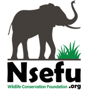 NSEFU Wildlife Conservation Foundation Logo