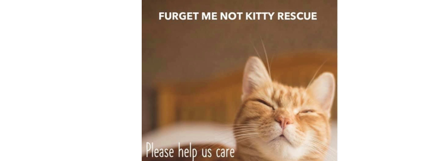 Furget me Not Bay d'Espoir Kitty Rescue Group
