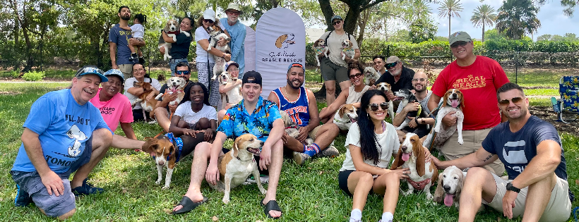 South Florida Beagle Rescue
