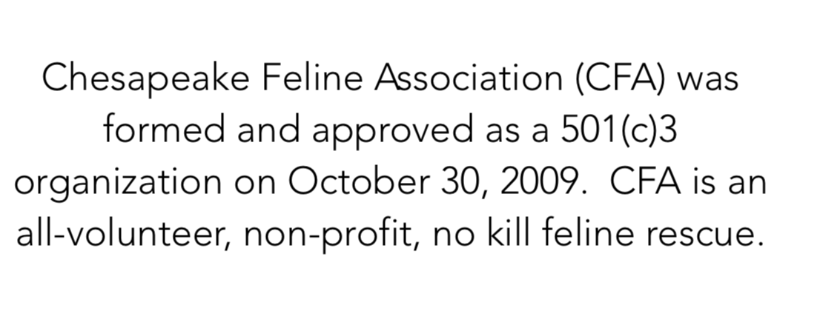 Chesapeake Feline Association