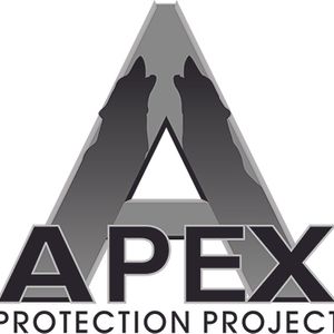 Apex Protection Project Logo