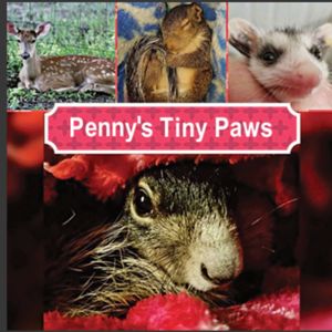 Pennys Tiny Paws Logo