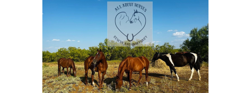 All About Horses Rescue & Sanctuary
