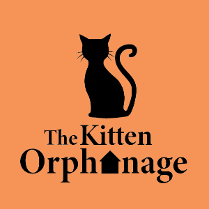 The Kitten Orphanage