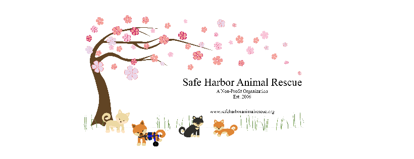 Safe Harbor Animal Rescue Inc.