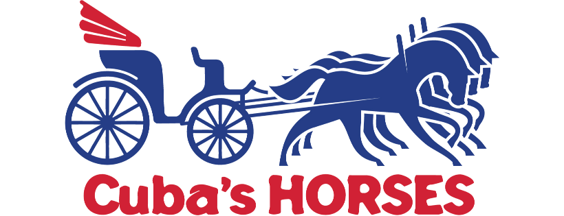 Cuba's Horses Inc