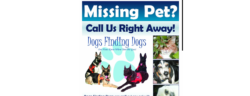 DOGS FINDING DOGS