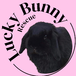 Lucky Bunny Rescue Logo