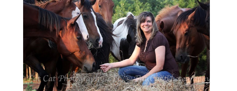 Blazes Tribute Equine Rescue