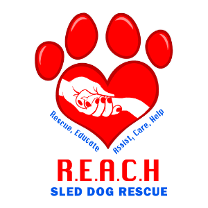 Reach sled dogs