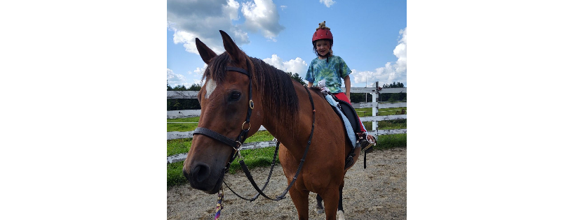 Little Gems Therapeutic Riding