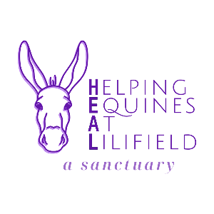 Helping Equines at Lilifield Sanctuary Logo