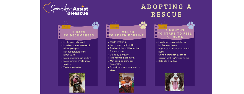 Sprocker assist and rescue