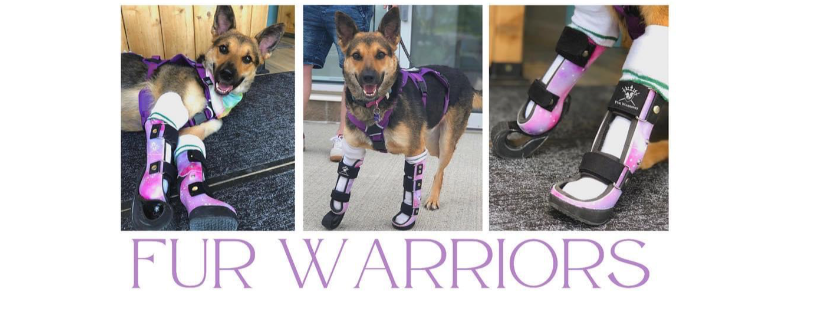 Fur Warriors