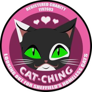 Cat-ching - Sheffield
