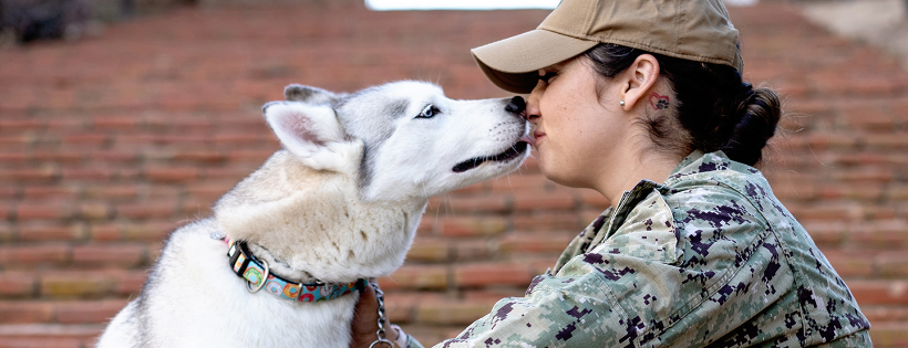 Dogs on Deployment