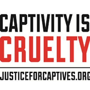 Justice For Captives Logo