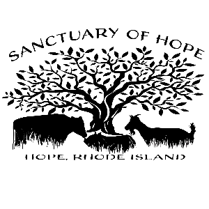 The Sanctuary of Hope INC Logo