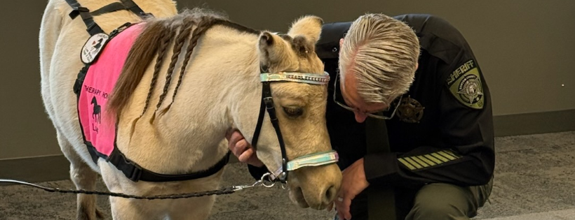 Kindhearted Mini Therapy