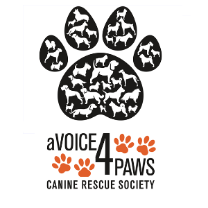 aVoice4paws Canine Rescue Society Logo