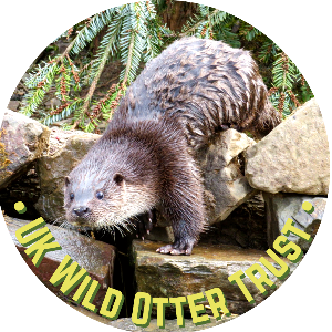 UK WILD OTTER TRUST