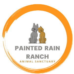 Painted Rain Ranch Logo