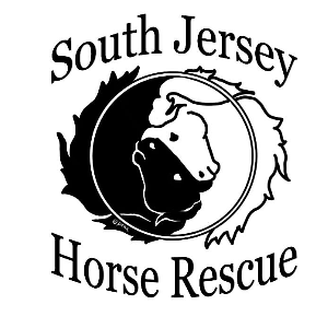 South Jersey All Breeds Horse Rescue