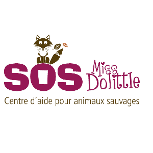 SOS Miss Dolittle - Centre d’aide pour animaux sauvages Logo