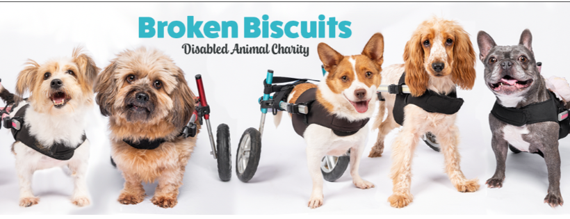 Broken Biscuits