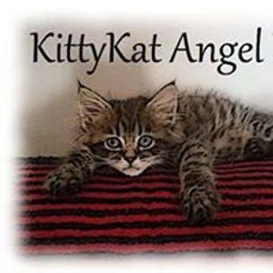 KittyKat Angel Rescue