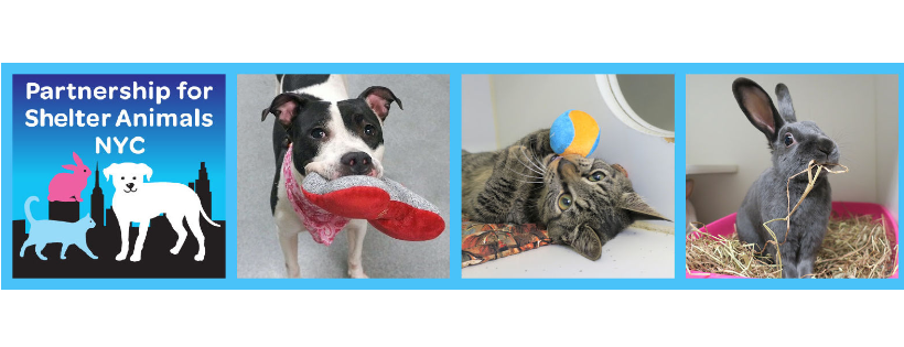 Partnership for Shelter Animals NYC Fund, Inc.