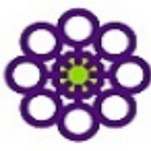 Women's Safety Services SA