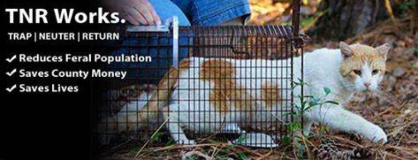 For Every Rescue A Life Saved (FERALS)