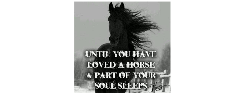 Equine Heart Healers Ranch