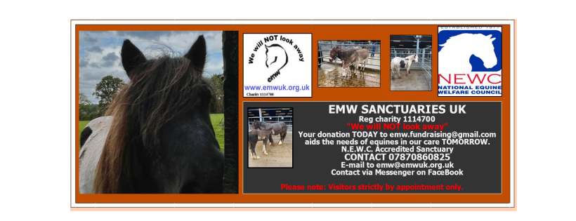 Equine Market Watch Sanctuaries UK