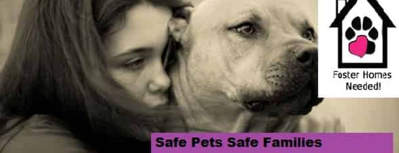 Safe pets safe families