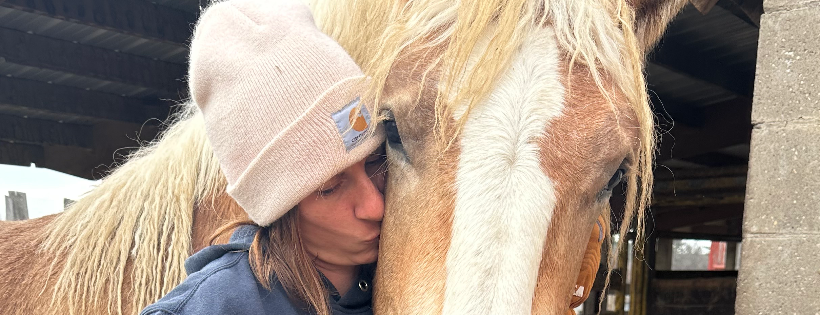 Neigh N' Bray Equine Rescue