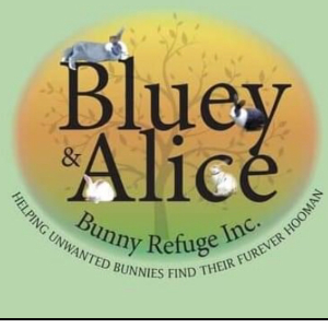 The Bluey and Alice Bunny Refuge Inc Logo