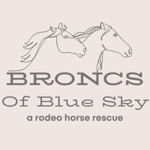 Broncs of Blue Sky