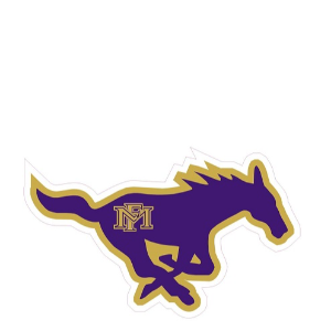 Spicewood Elementary PTO