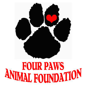Four Paws Animal Foundation Logo