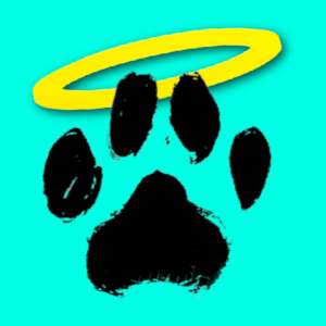 H.A.L.O. No-Kill Rescue