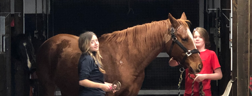 Equines & Energy