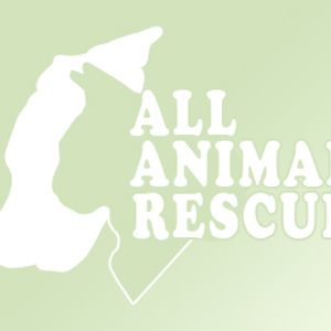 All Animal Rescue U.K Logo